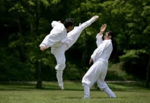 Taekkyeon: 